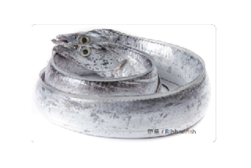 帶魚