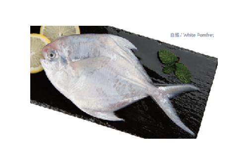 鯧魚